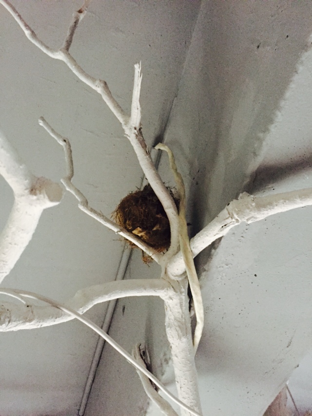 三圓可愛(ài)的細(xì)節(jié)