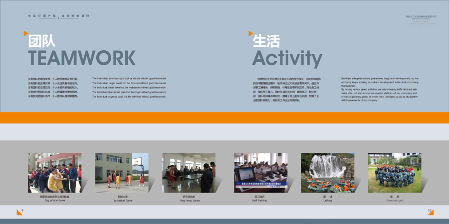 部分畫冊(cè)效果展示