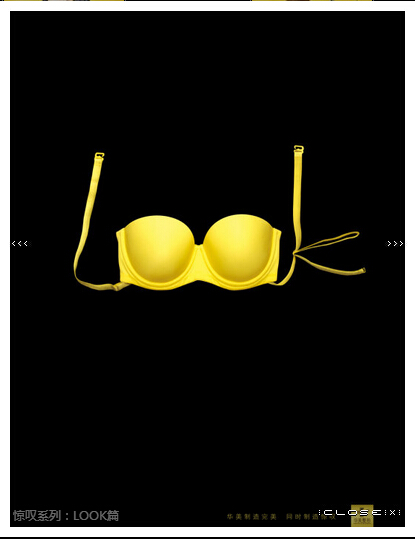 �Lɳʢ���V�湫˾