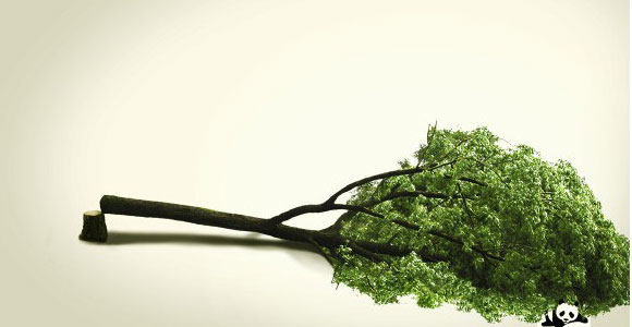 ��ΌW(xu��)�ÏV���O(sh��)Ӌ5